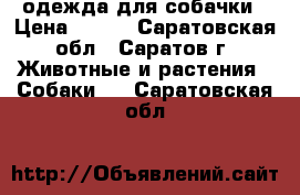 одежда для собачки › Цена ­ 800 - Саратовская обл., Саратов г. Животные и растения » Собаки   . Саратовская обл.